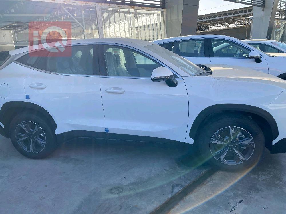 جیتۆر داشينگ